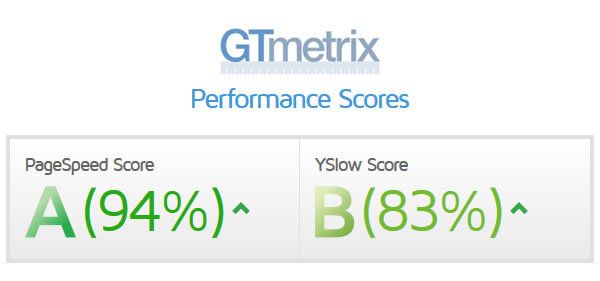 performance score